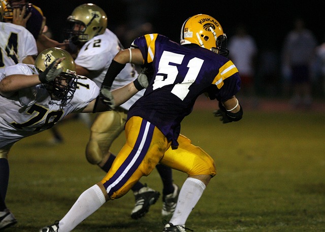 格纳的组合 格纳的组合