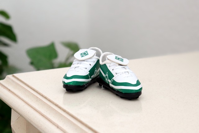 發展路線非 發展路線非