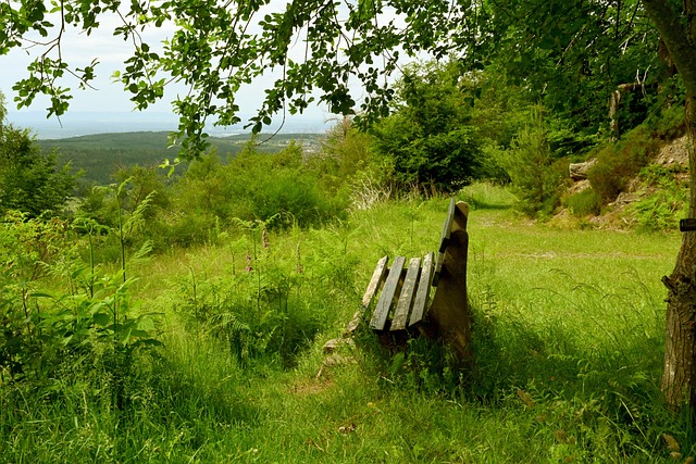 对手时游刃 对手时游刃