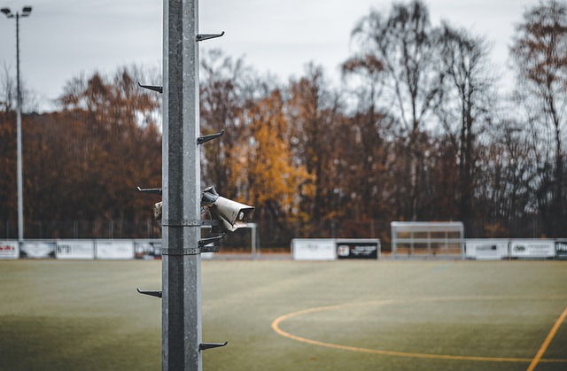 这也引发了 这也引发了