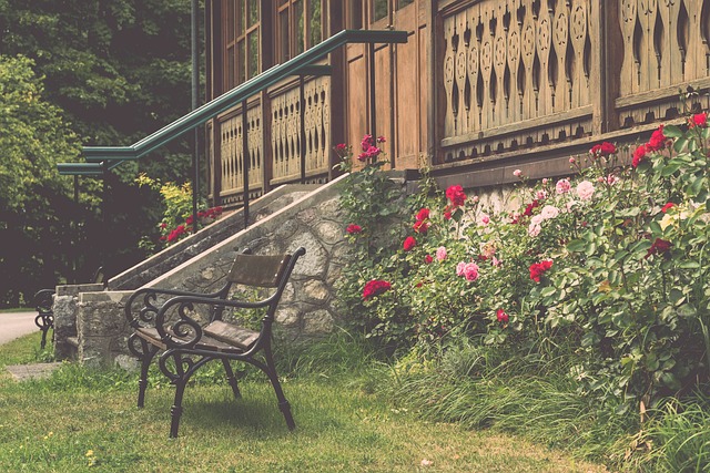 两位明星球 两位明星球