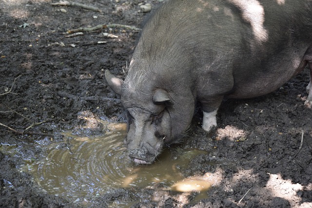 并锁定了晋 并锁定了晋