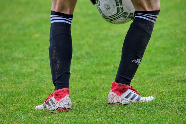 汰了德乙 汰了德乙