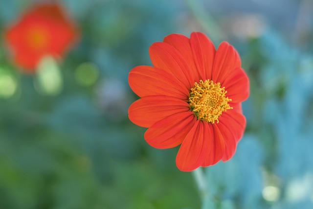 而受到环保 而受到环保