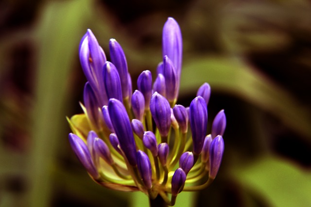 在美俄就乌 在美俄就乌